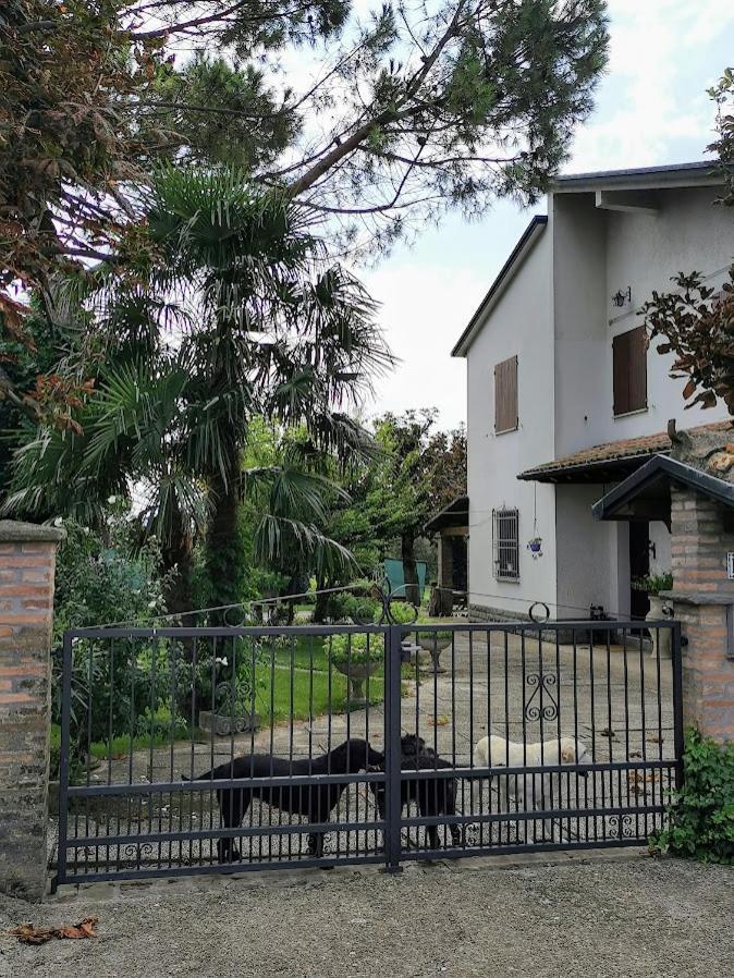 Appartamento La Casa Di Gim Lugo  Esterno foto